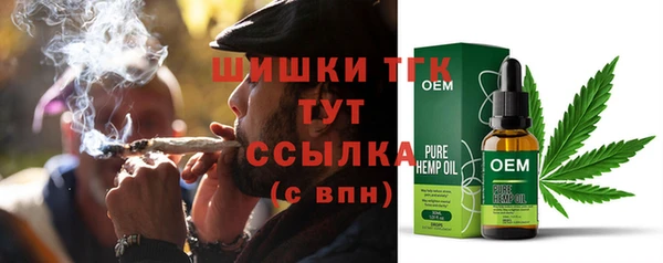 тгк Магас