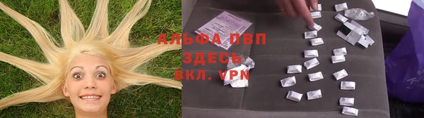 тгк Магас