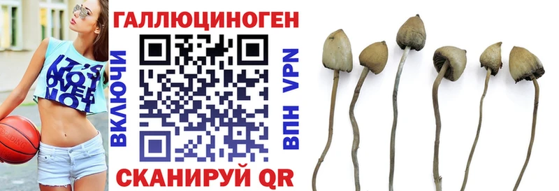 ссылка на мегу рабочий сайт  Лахденпохья  Галлюциногенные грибы GOLDEN TEACHER 